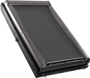 zra-transparent-background-700x608px-1