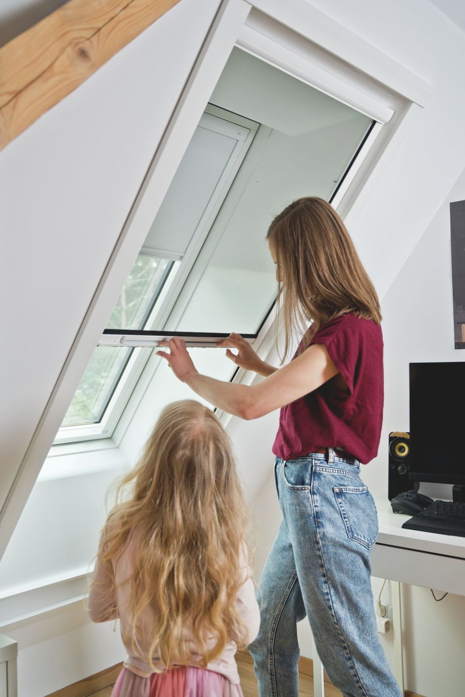 Geschlossenes Roto Insektenschutzrollo als freigestelltes Produktfoto