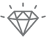 Icon-Prämien-ProfiLiga