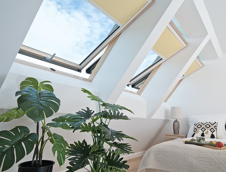 Blick in ein Schlafzimmer mit Grünpflanzen und drei leicht geöffneten Roto Dachfenster mit Sichtschutzrollo.