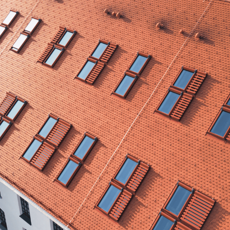 reference-object-wangen-out-800x800px