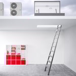 Flachdachhaube ohne Treppe