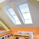 Roleta dzienna Standard ZRS