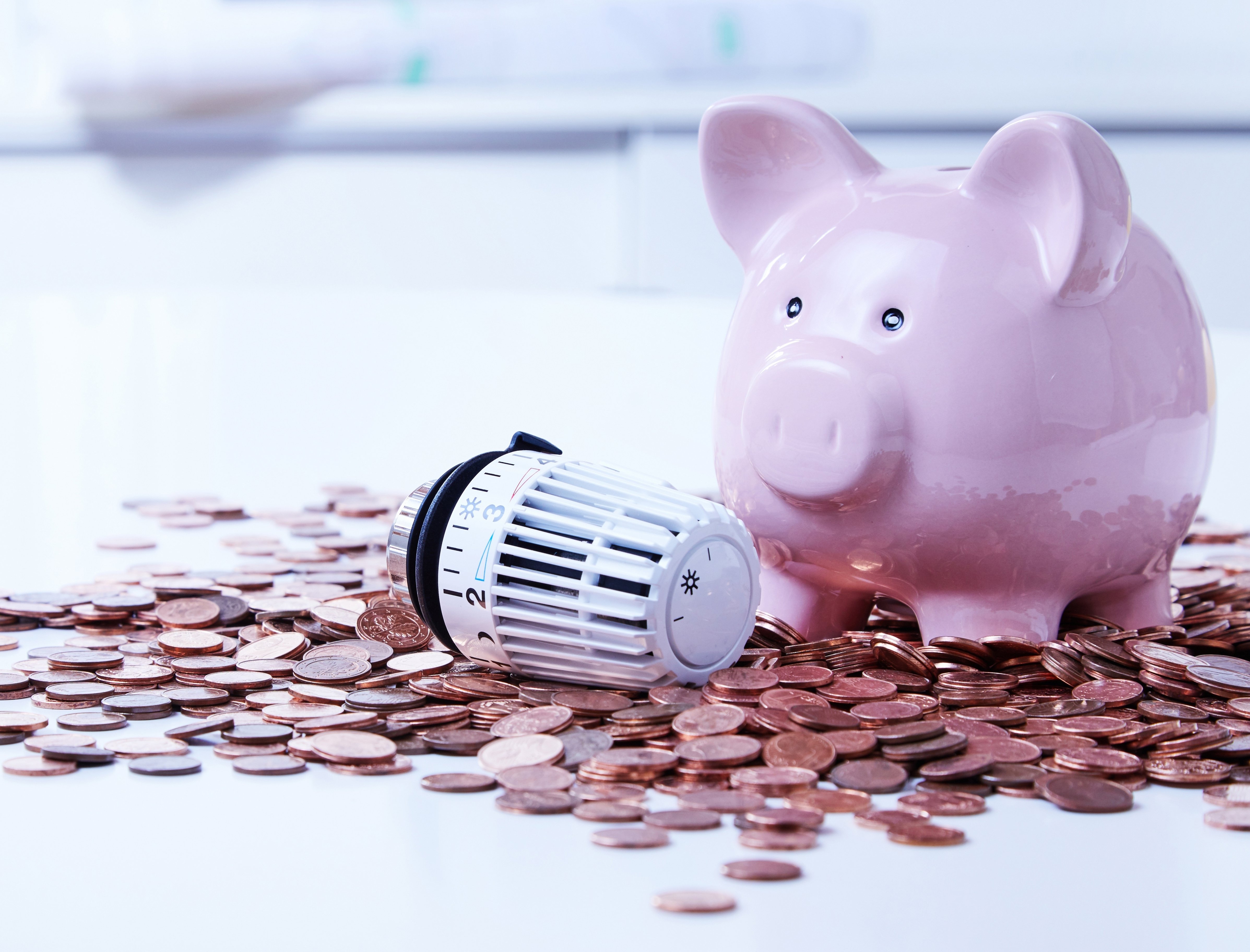 Sparschwein mit Geld und Thermostat