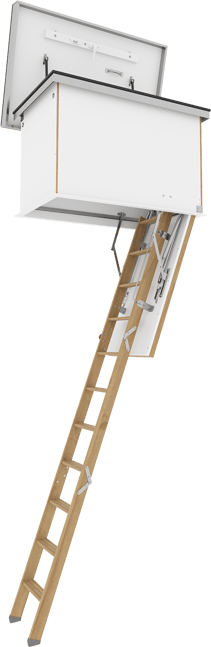 Flachdachausstieg-Holzleiter-transparent-500x1534px
